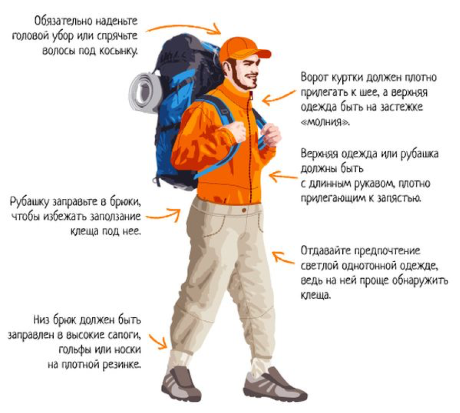 Основные правила